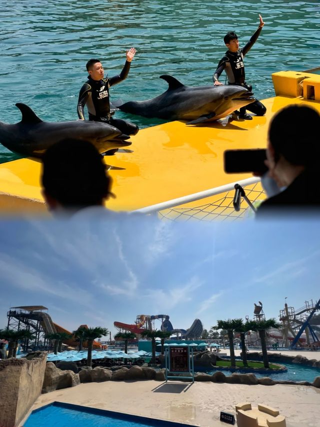 六月必去遊玩的地方——秦皇島樂島海洋王國