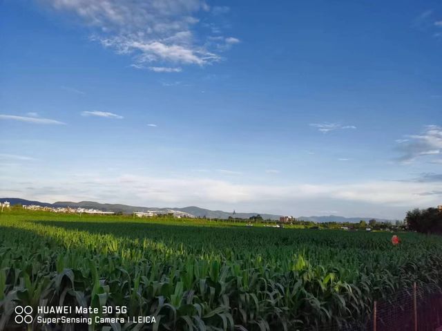抚仙湖民宿 | 把景入窗 把窗變畫