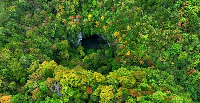 康養度假，避暑休閒，登山攀岩，廣元曾家山是你不二之選！