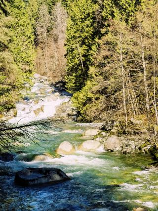 Lynn Canyon Park, Vancouver's hottest hiking spot this summer