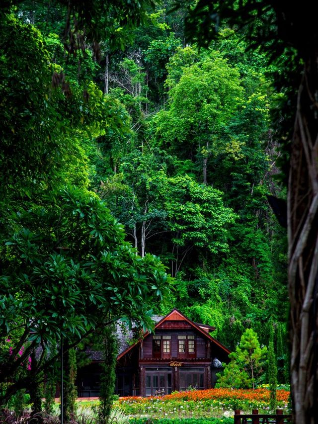🌸 Chiang Mai's Floral Paradise: Flora Creek 🏞️