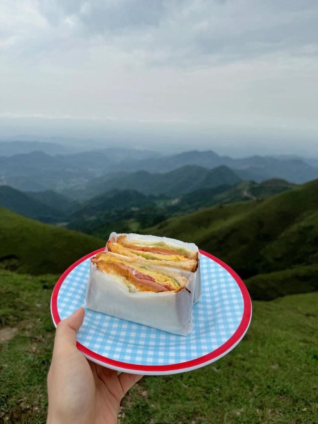 广西旅游/0元打卡“小新疆”一日游最新攻略