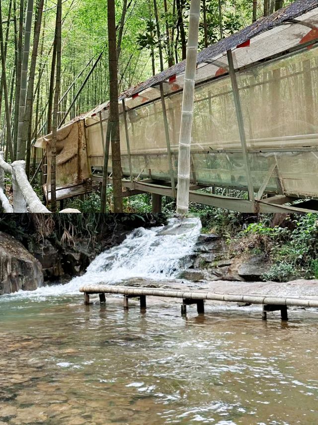 兩小時直達廣州後花園，廣佛人的避暑山莊