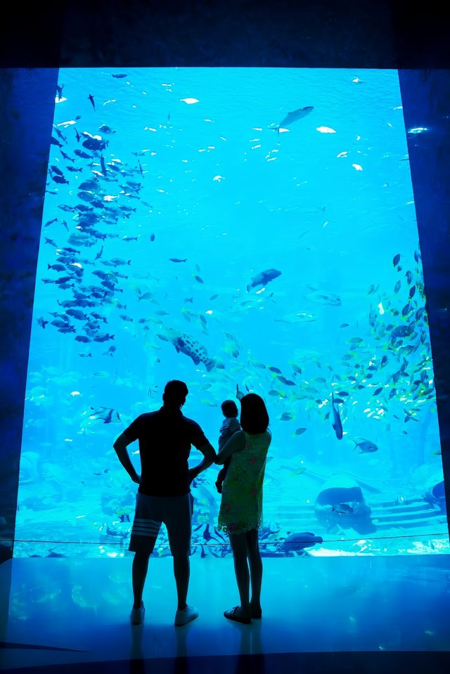 來施特拉爾松德水族館遊玩