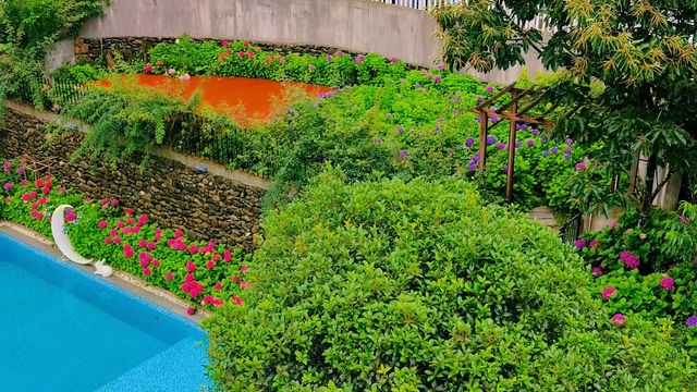 黃山民宿|花園院子 花園餐廳|戶外泳池