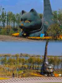 走進白馬湖：體驗濕地公園的寧靜