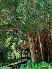 Seek tranquility and escape the summer heat in midsummer, come to Yunfu Xinxing Longshan Hot Spring Hotel!
