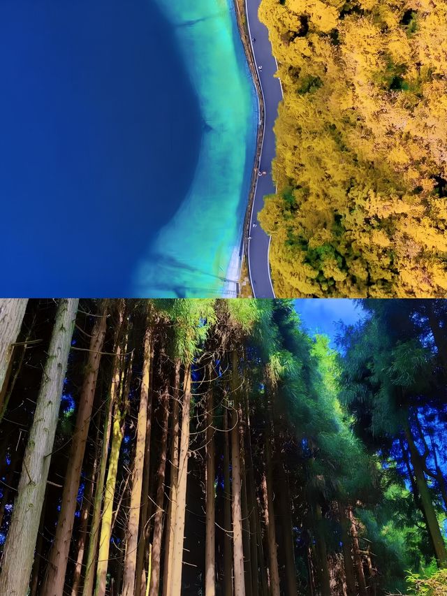 武陵山我在這裡找到了25度的夏天