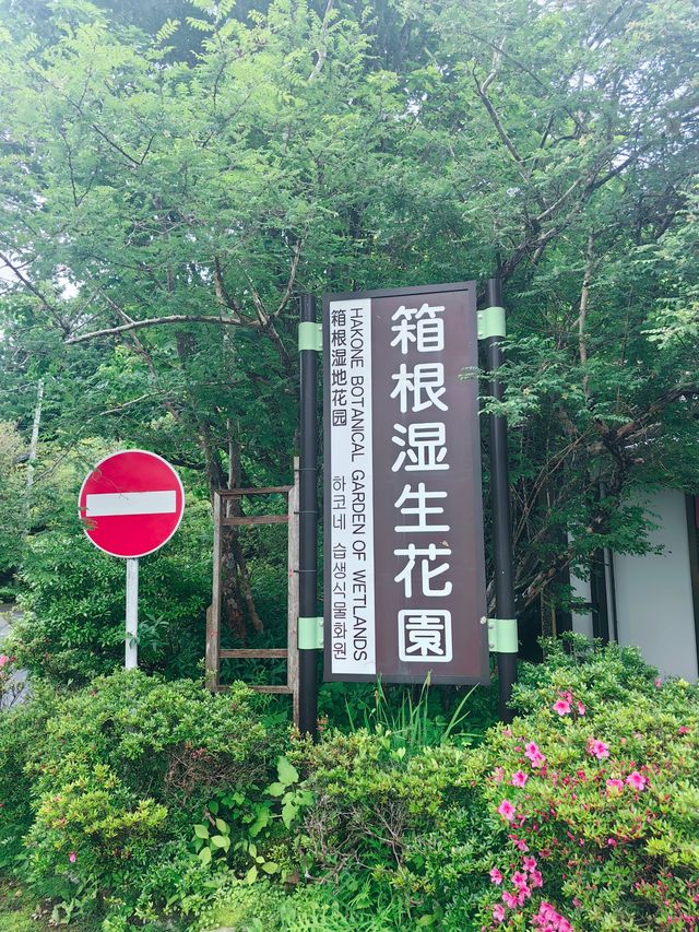 箱根，隨心所遇的旅行日記！