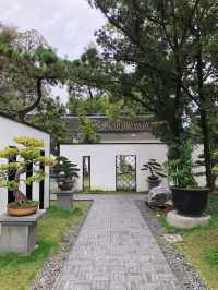 四川成都｜百花潭，走進花花的世界。