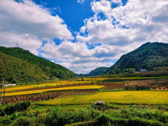 貴陽嘅海，就係稻海。洋芋國從來唔缺美景~