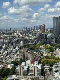 The Best Views of Tokyo From The Iconic Tokyo Tower 🗼 