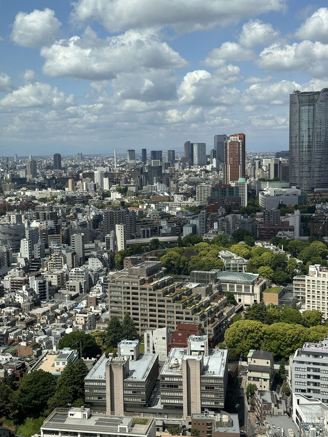 The Best Views of Tokyo From The Iconic Tokyo Tower 🗼 