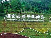 哀牢山谷‧無量景東！。