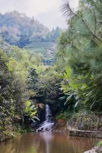 武夷山嘉葉山舍，超值的茶宿之旅。