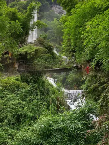 장자제-바오펑 호수 | 신이 쏟아낸 녹색 물감.