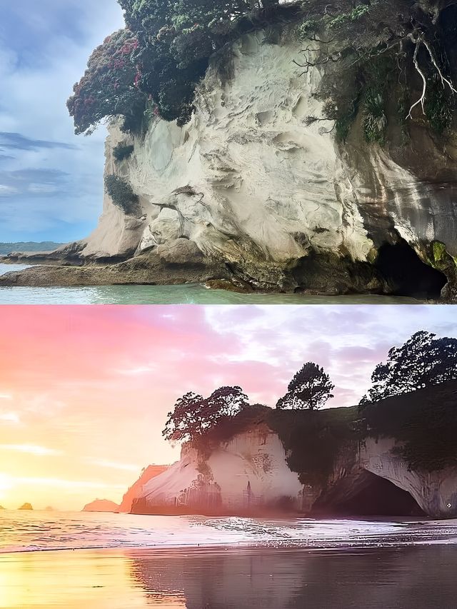 新西蘭秘境追蹤 | Cathedral Cove。