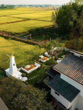 A beautiful rice field homestay in Qingshen, Chengdu. 