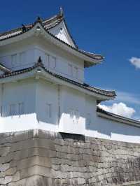 🏯 二條城：歷史與樸雅交織的時光之旅