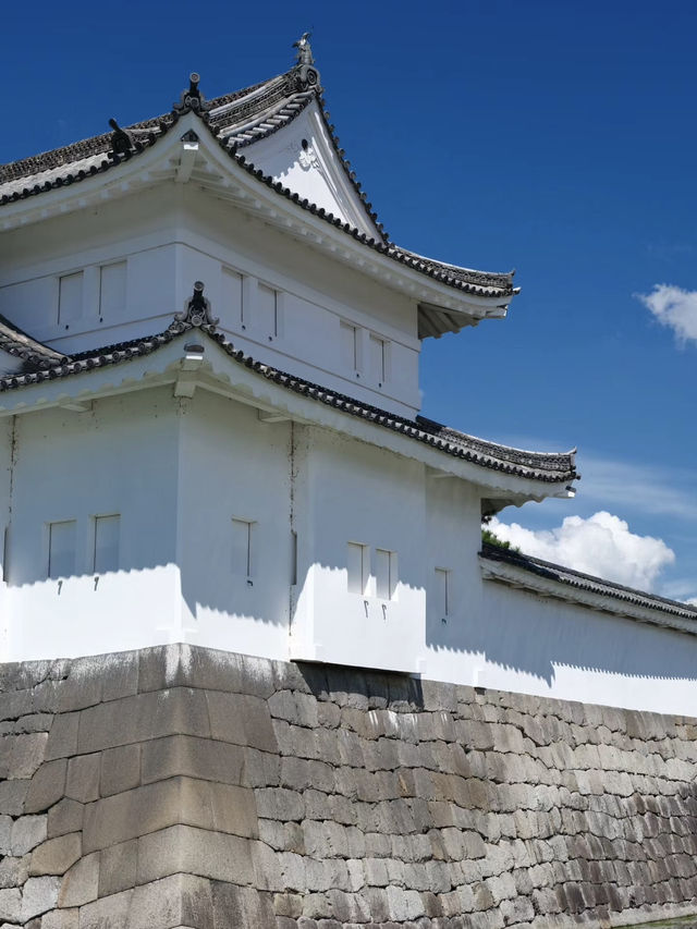 🏯 二條城：歷史與樸雅交織的時光之旅