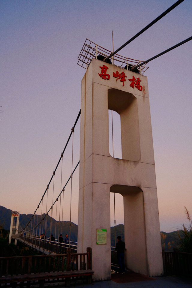 開車兩小時也要看的夕陽，在這座茶山。