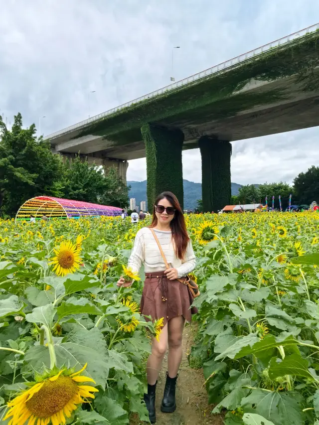 Flower Sea: Encounter Beauty