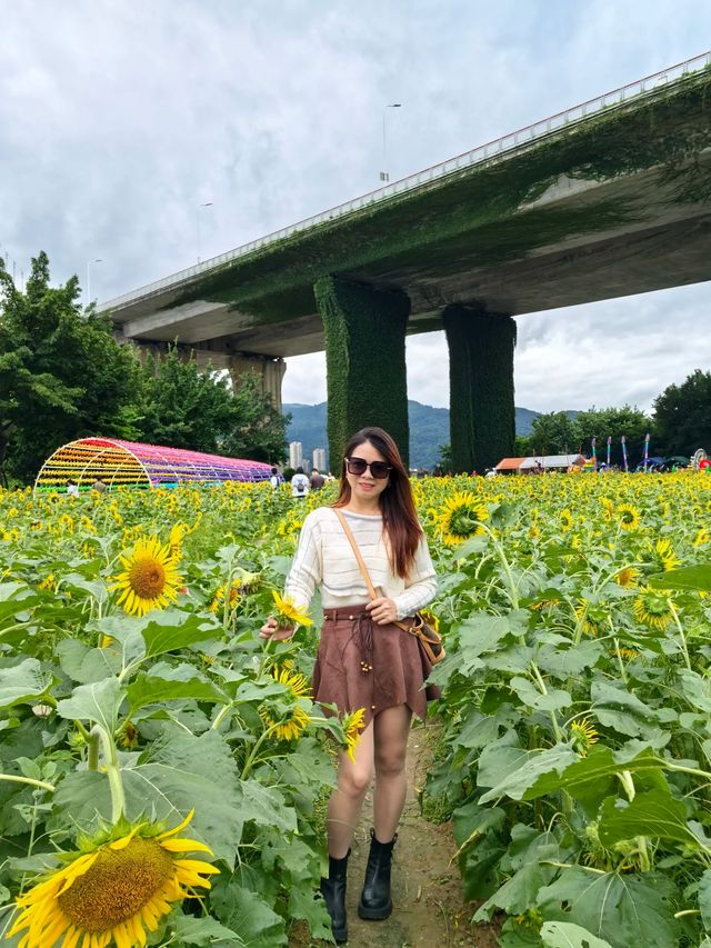 花海尋芳，邂逅美好。