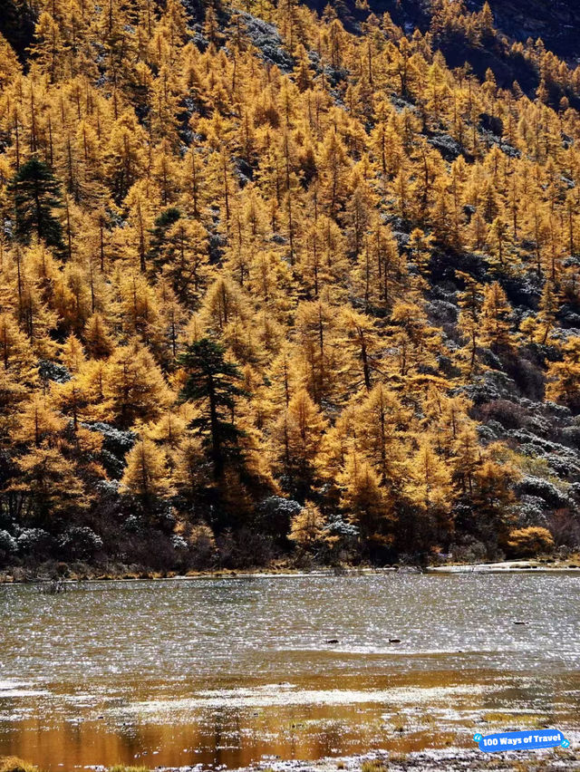 Exploring Ganzi Tibetan Autonomous Prefecture: A Cultural and Natural Haven