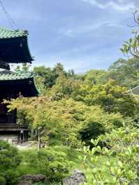 藤田美術館的靜謐花園：藝術與自然的和諧交融