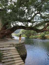 婺源上坦村個人覺得非常值得一去!。