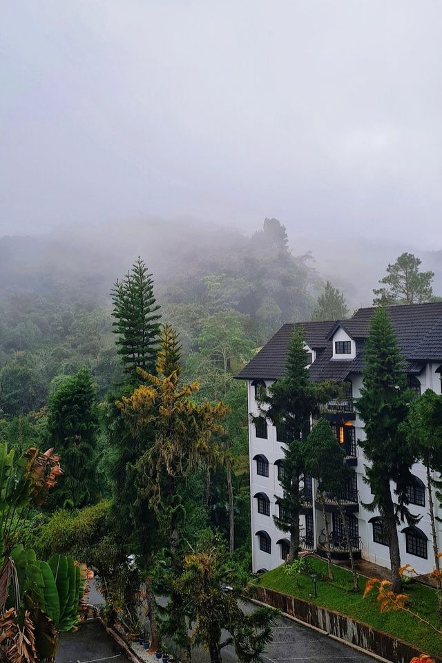 Discover the Charm of Cameron Highlands with RM25 Little Greece