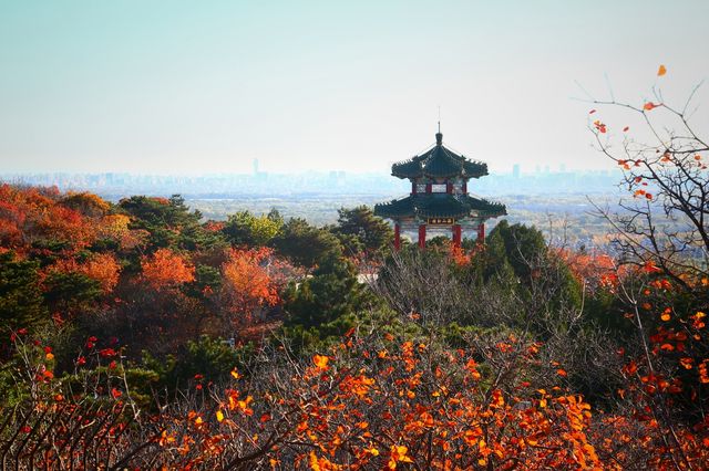 紅葉簇擁的大北京！想拍？等明年秋天！