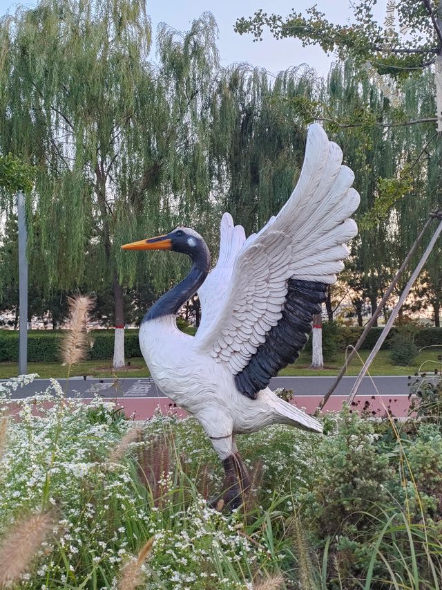 不開心就來太原晉陽湖公園看夕陽。 不開心就來太原晉陽湖公園看夕陽。