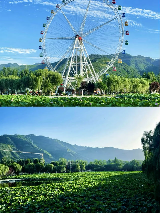 你不知道這裡真的好看水清晰。