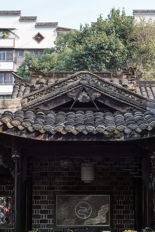 冬日暖陽，龍園茶香。