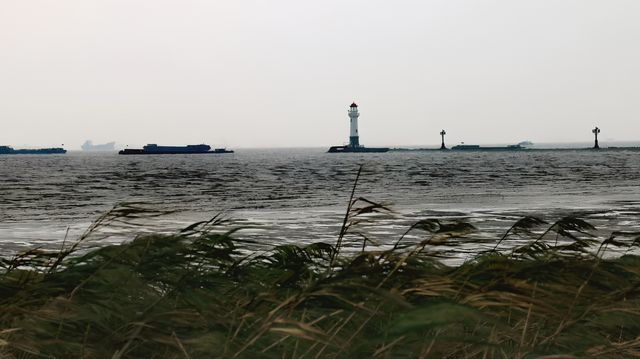 上海小九寨溝~~吳淞炮台灣國家濕地公園。