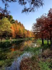 閔行文化公園。