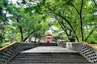 東陵公園穿越歷史，領略皇家自然美景