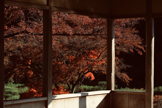 宇治|三室戶寺