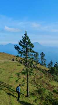 據說這裡的高山草甸獨屬海南·同款阿勒泰天花板