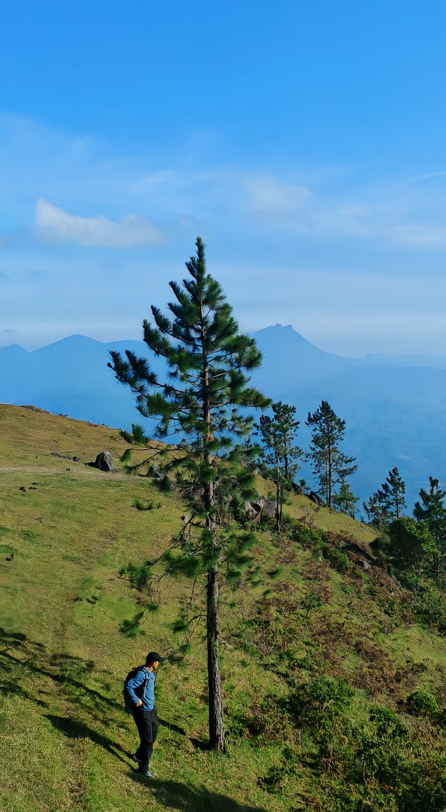 據說這裡的高山草甸獨屬海南·同款阿勒泰天花板