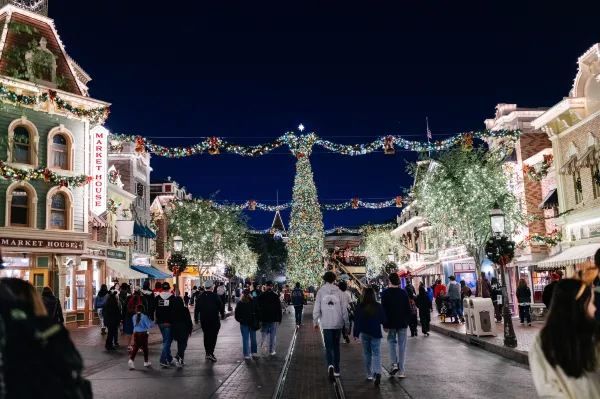Experience the Magic of Disneyland at Night