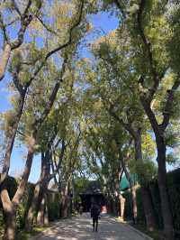 蘇州漫步:道前街-體育場路-定慧寺巷
