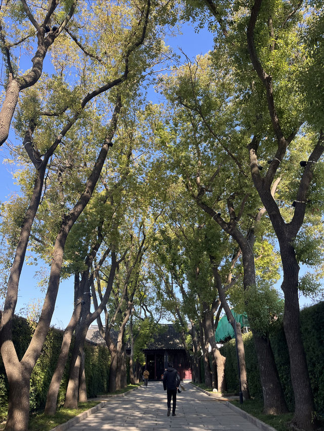 蘇州漫步:道前街-體育場路-定慧寺巷 蘇州漫步:道前街-體育場路-定慧寺巷