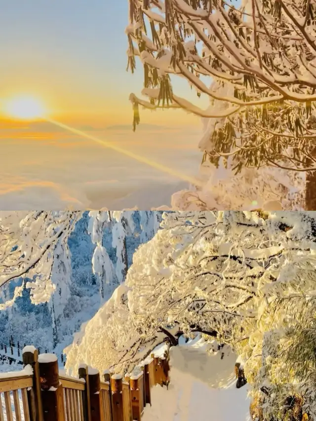 Wawu Mountain Ice and Snow Wonderland: A Winter Fairy Tale in the South