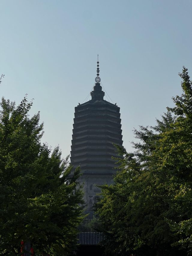 遼陽白塔公園：古老與現代交織的魅力之地