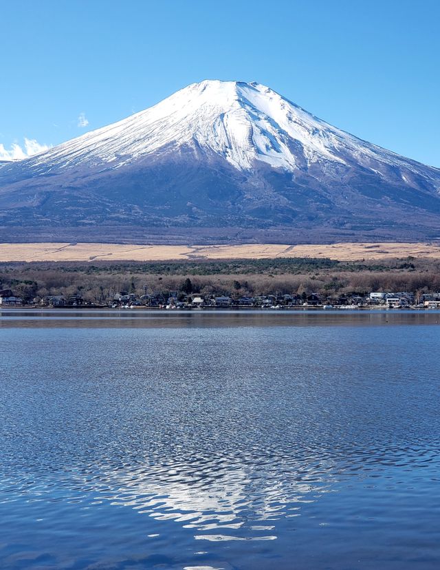 徒步山中湖，飽覽富士山