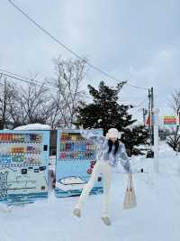旭川動物園之旅：從札幌出發的完美計劃