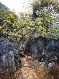 清遠秦漢古道8公里徒步攻略小眾路線！