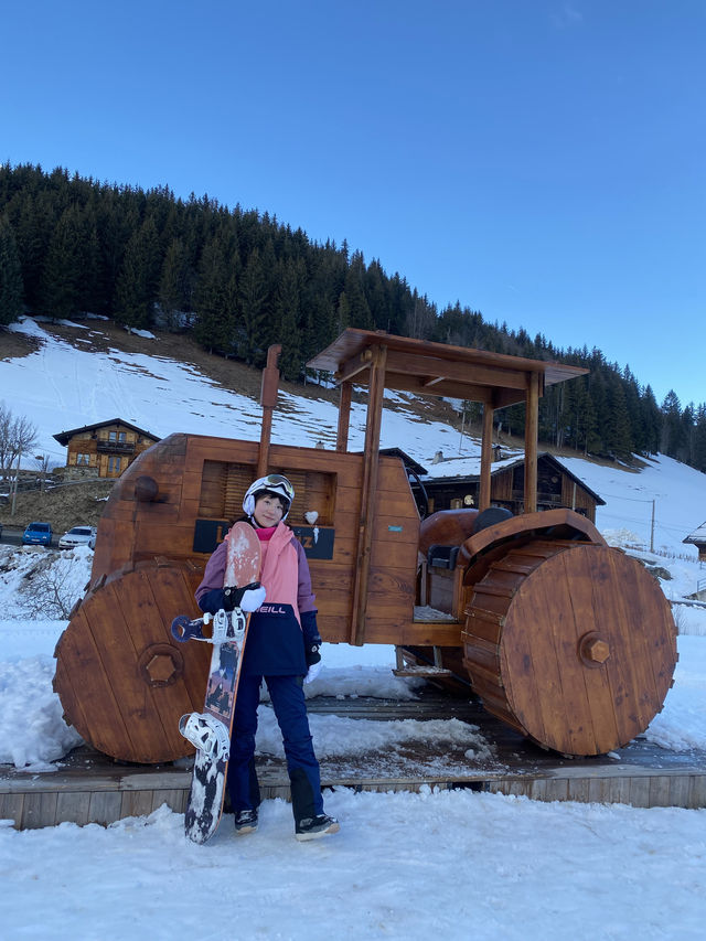 Comprehensive Review of European Ski Resorts: Part Two